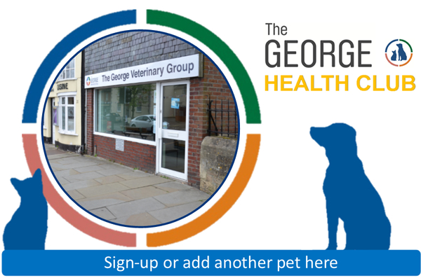 George Health Club Royal Wootton Bassett